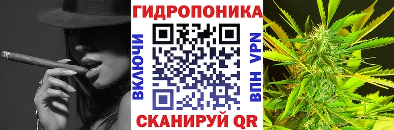 Наркотические вещества Черноголовка АМФЕТАМИН МЕФ СК ГАШ МАРИХУАНА