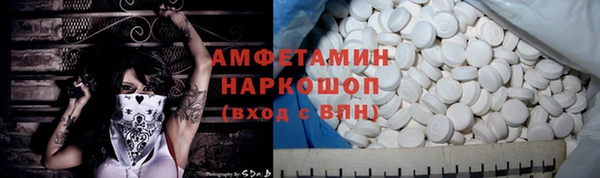 хмурый Алексин