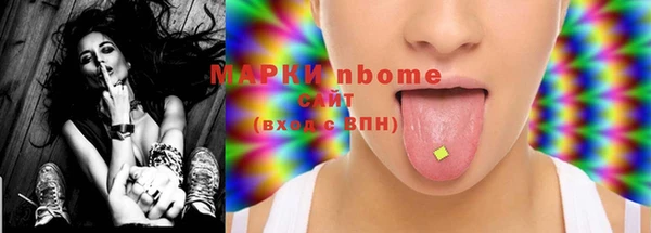 хмурый Алексин