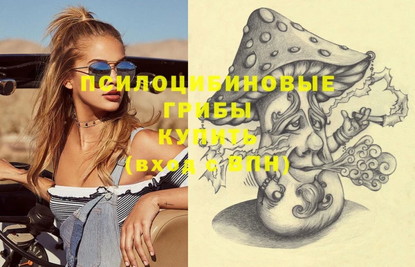 хмурый Алексин