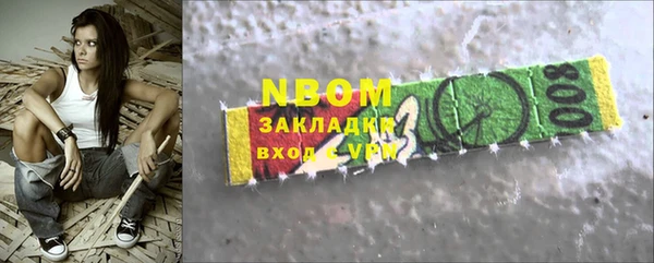 хмурый Алексин
