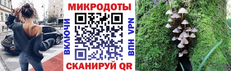 Псилоцибиновые грибы мицелий  hydra сайт  Черноголовка  наркотики 